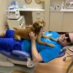 Patient in dental chair with dog